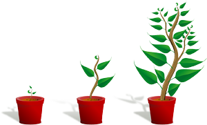 Plant growing rapidly